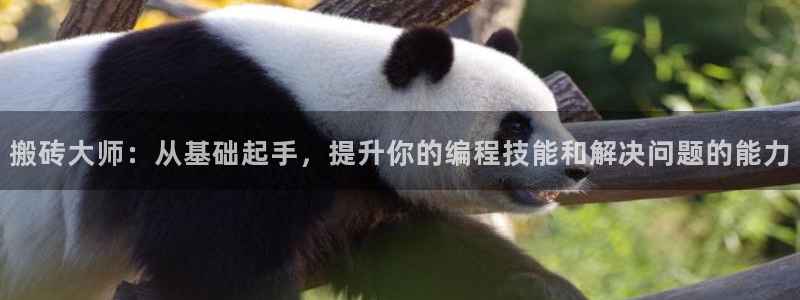 杏悦2娱乐登录：搬砖大师：从基础起手，提升你的编程技能和解决