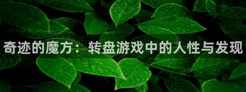 杏悦2平台入口