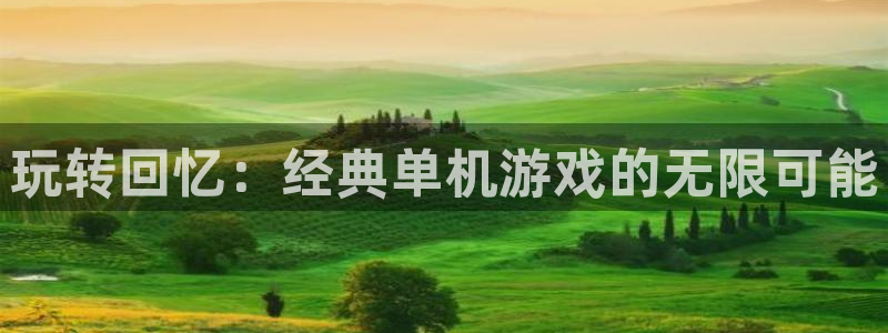 杏悦2注册平台：玩转回忆：经典单机游戏的无限可能