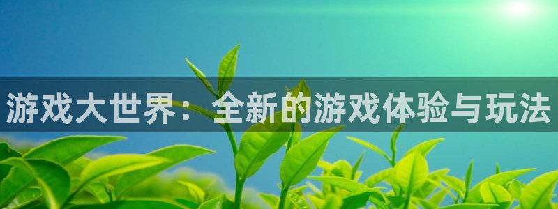 杏悦2测试：游戏大世界：全新的游戏体验与玩法
