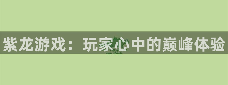 杏悦2网页登录入口：紫龙游戏：玩家心中的巅峰体验
