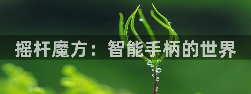 杏悦2老版本下载：摇杆魔方：智能手柄的世界