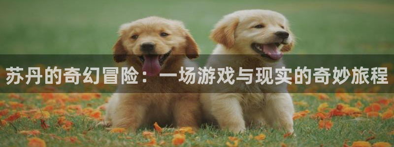杏悦2官网登录入口：苏丹的奇幻冒险：一场游戏与现实的奇妙旅程