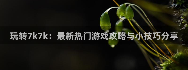 杏悦2注册平台