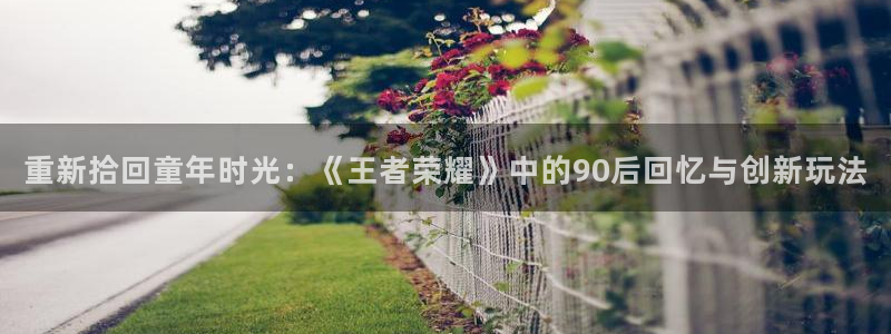 杏悦2平台注册：重新拾回童年时光：《王者荣耀》中的90后回忆