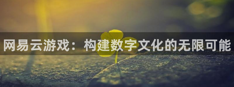 杏悦2平台注册入口