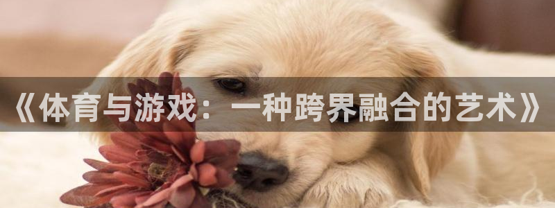 杏悦2登录