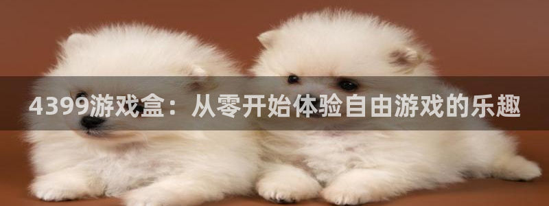 杏悦2平台介绍：4399游戏盒：从零开始体验自由游戏的乐趣