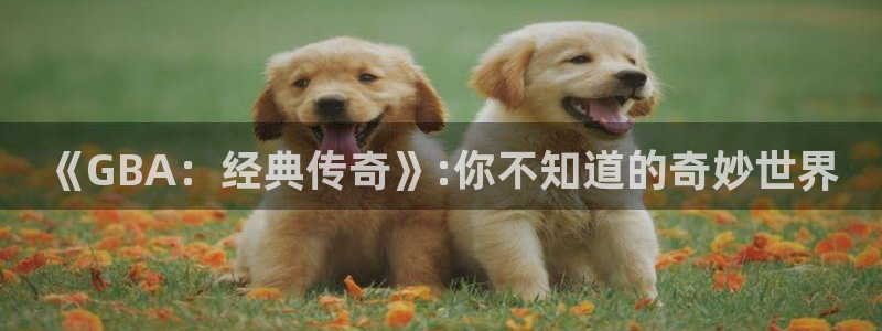 杏悦2平台入口：《GBA：经典传奇》:你不知道的奇妙世界