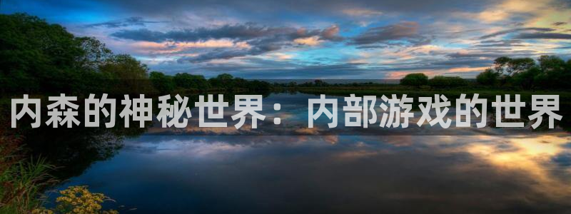 杏悦2代理：内森的神秘世界：内部游戏的世界