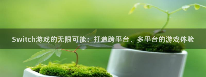 杏悦2官网注册：Switch游戏的无限可能：打造跨平台、多平