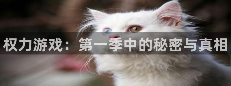 杏悦2新版本账号登录网址：权力游戏：第一季中的秘密与真相