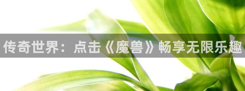 杏悦2：传奇世界：点击《魔兽》畅享无限乐趣