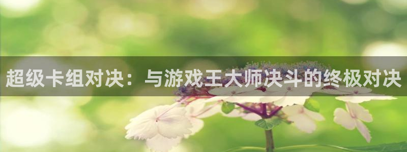 杏悦2注册：超级卡组对决：与游戏王大师决斗的终极对决
