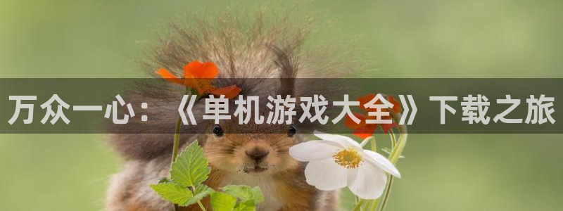 杏悦2平台注册：万众一心：《单机游戏大全》下载之旅