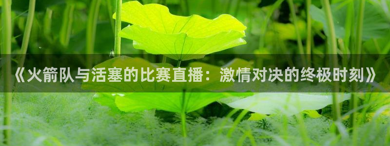 山猫tv篮球直播：《火箭队与活塞的比赛直播：激情对决的终极时刻》
