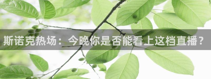 山猫篮球直播：斯诺克热场：今晚你是否能看上这档直播？