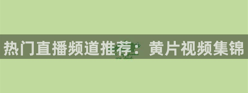 山猫免费nba直播视频直播：热门直播频道推荐：黄片视频集锦