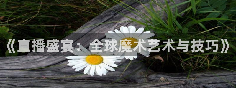 山猫免费nba直播视频直播：《直播盛宴：全球魔术艺术与技巧》