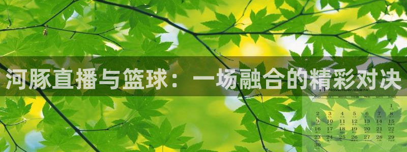 山猫足球免费直播高清视频大全：河豚直播与篮球：一场融合的精彩对决