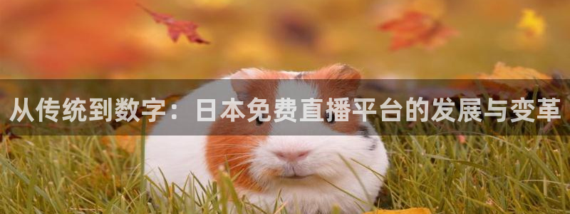山猫足球直播体育免费观看：从传统到数字：日本免费直播平台的发展与变革
