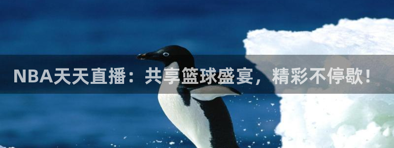 山猫体育赛事直播官网：NBA天天直播：共享篮球盛宴，精彩不停歇！
