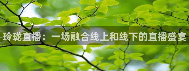 山猫篮球体育直播：玲珑直播：一场融合线上和线下的直播盛宴
