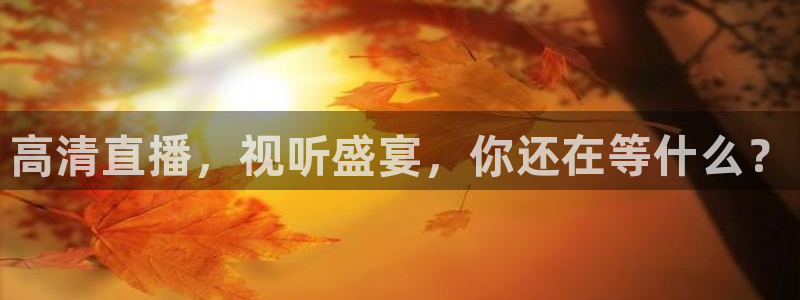 山猫直播在线直播：高清直播，视听盛宴，你还在等什么？