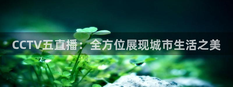 山猫体育直播足球：CCTV五直播：全方位展现城市生活之美