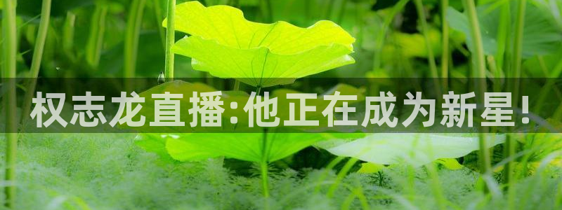山猫直播足球在线观看视频：权志龙直播:他正在成为新星!